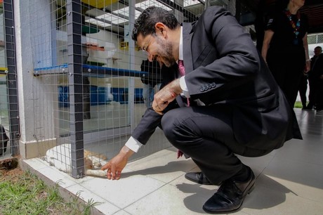 ¡Por los animales! Así es el centro 'Michigan y espacio de fauna silvestre'