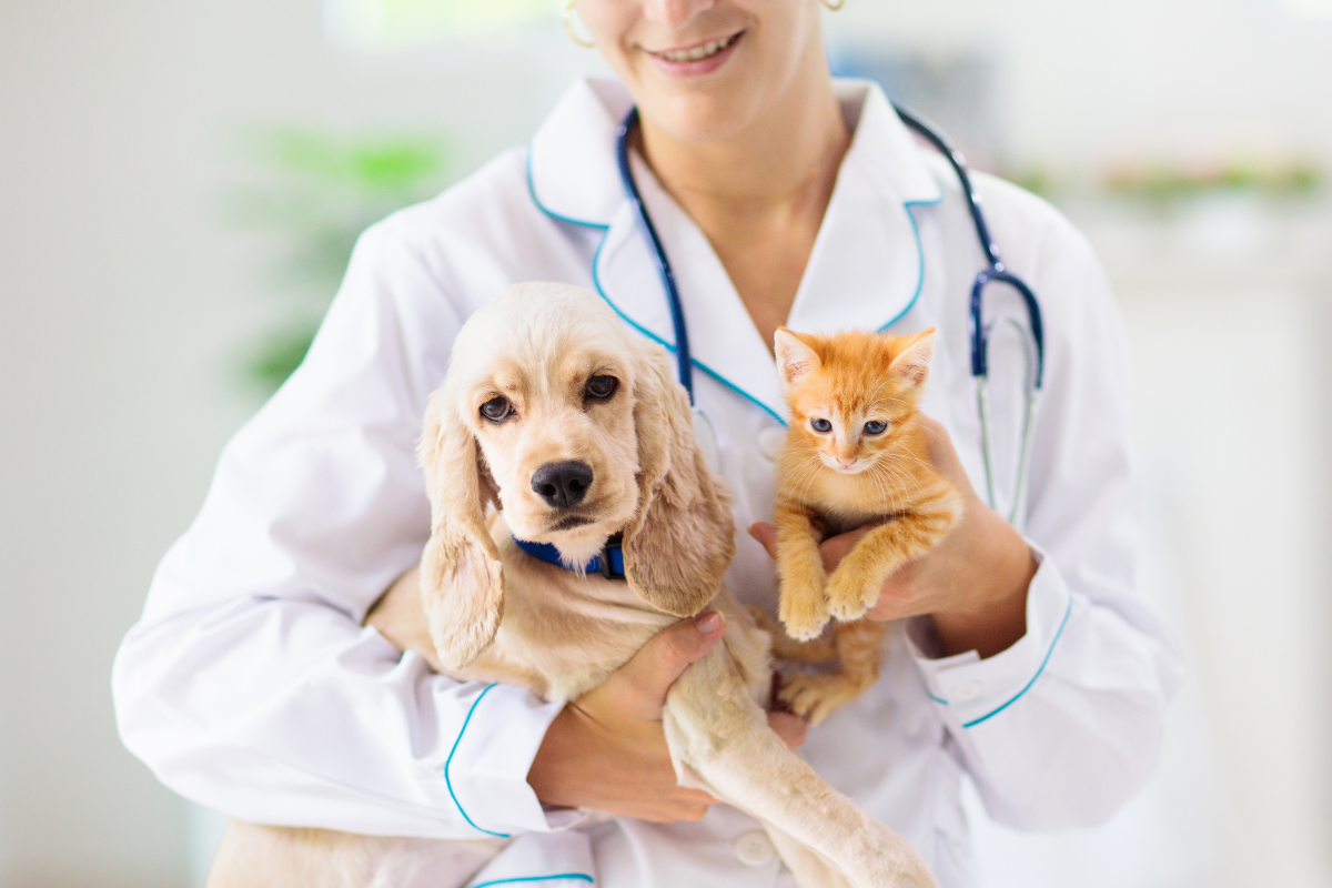 Veterinaria con perrito y gatito. Foto: Canva