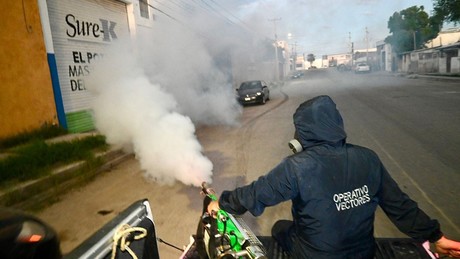 Coahuila continúa lucha contra el dengue