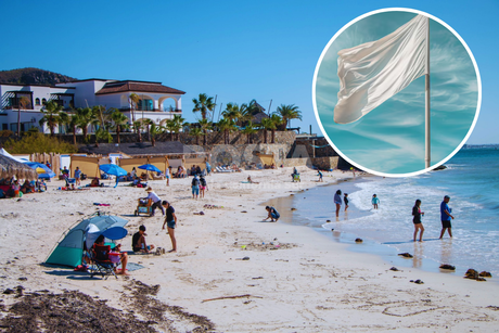 ¡Cuidado con las Aguas Malas! Cómo prevenir y qué hacer en caso de una picadura