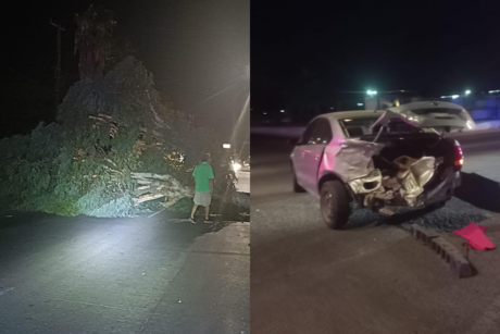 Derriban árbol en accidente automovilístico en el bulevar Colosio