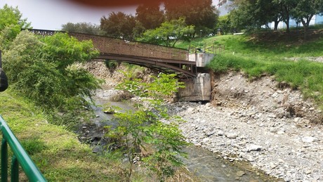 Cae puente peatonal del Parque Rufino Tamayo