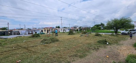 Juárez intensifica labores de limpieza y mantenimiento en áreas verdes