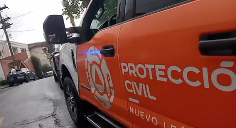 Mono araña moviliza a elementos de Protección Civil en San Pedro