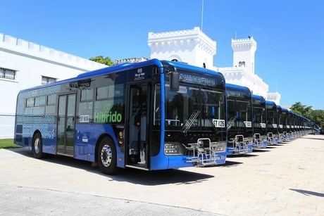 Conoce las nuevas rutas de transporte público en Mérida: ¡gratis la primera semana!