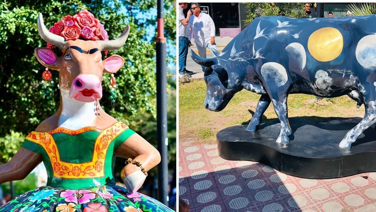 Las vacas del Cow Parade 2024 se colocaron en el Paseo Colón de Torreón. (Fotografía: Facebook)