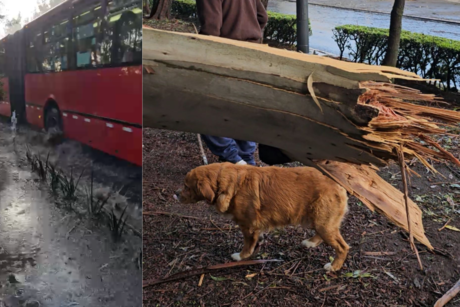 Inundaciones en Eje 4 Oriente y caída de árbol afectan a usuarios del Metrobús