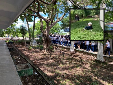 Indignación por un pleito entre dos alumnas del COBAY Xoclán (VIDEO)