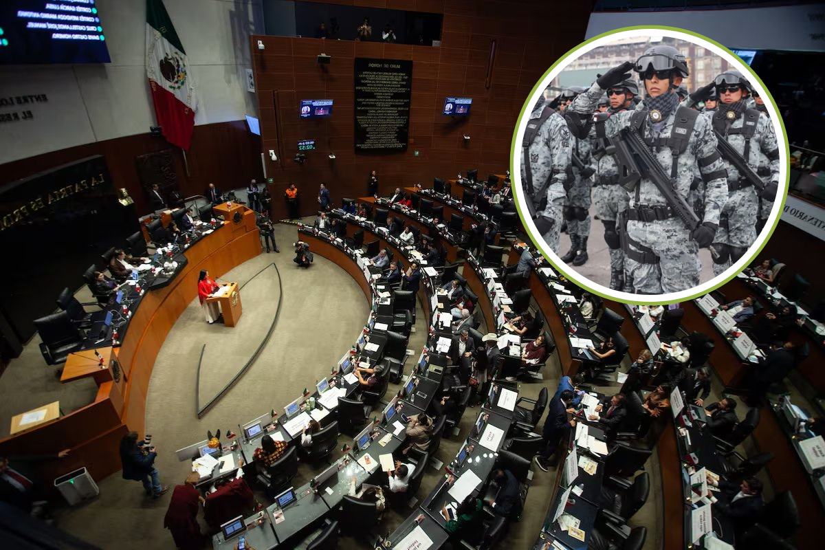 Cámara de Senadores, Guardia Nacional. Foto: @porktendencia/Gobierno de México