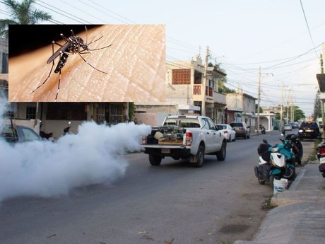 Seguirá el operativo de fumigación contra el mosco transmisor del dengue