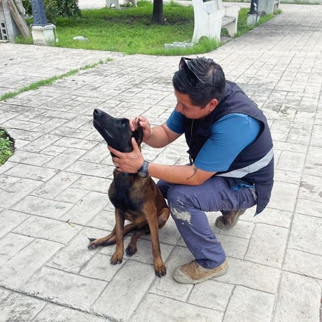 Rescatan a perrito en Villaldama que fue mordido por hombre