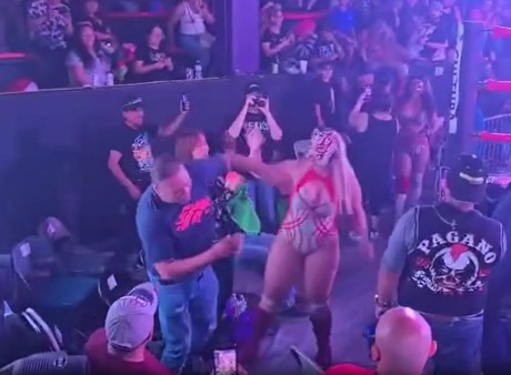 Luchadora golpea a fan por agredirla sexualmente durante combate