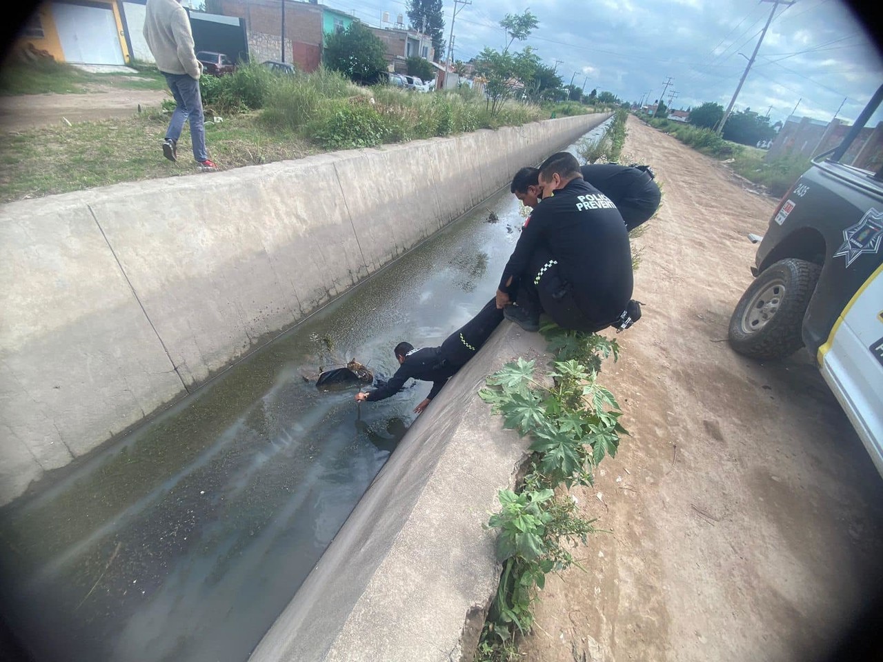 Gatito fue rescatado de canal. Foto: Especial.