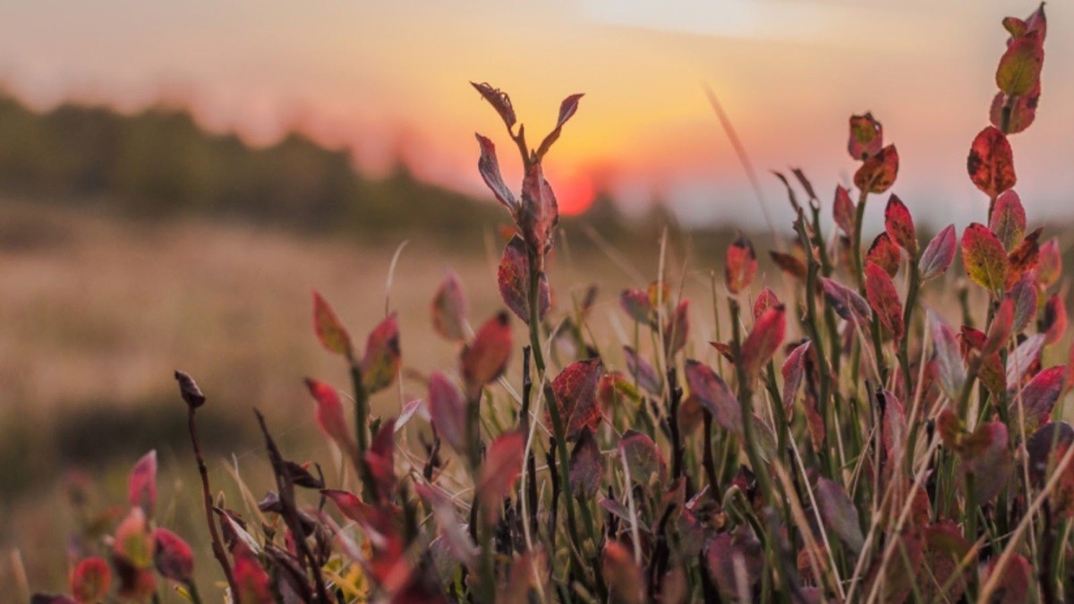 Equinoccio de otoño en México iniciará el domingo 22 de septiembre a las 6:44 AM. Foto: Canva.