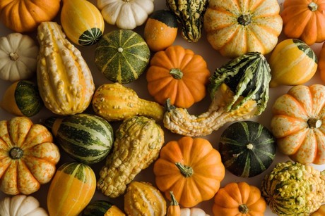 La calabaza en otoño y sus beneficios para la salud