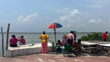 Camaroneros zarpan de Tampico con esperanza de regresar a casa con buena cosecha