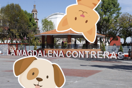 La Magdalena Contreras estrenará el primer parque dedicado a mascotas