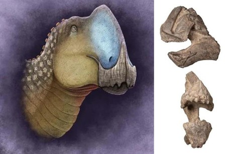 Conoce al Coahuilasaurus lipani: la nueva especie de dinosaurio de Coahuila