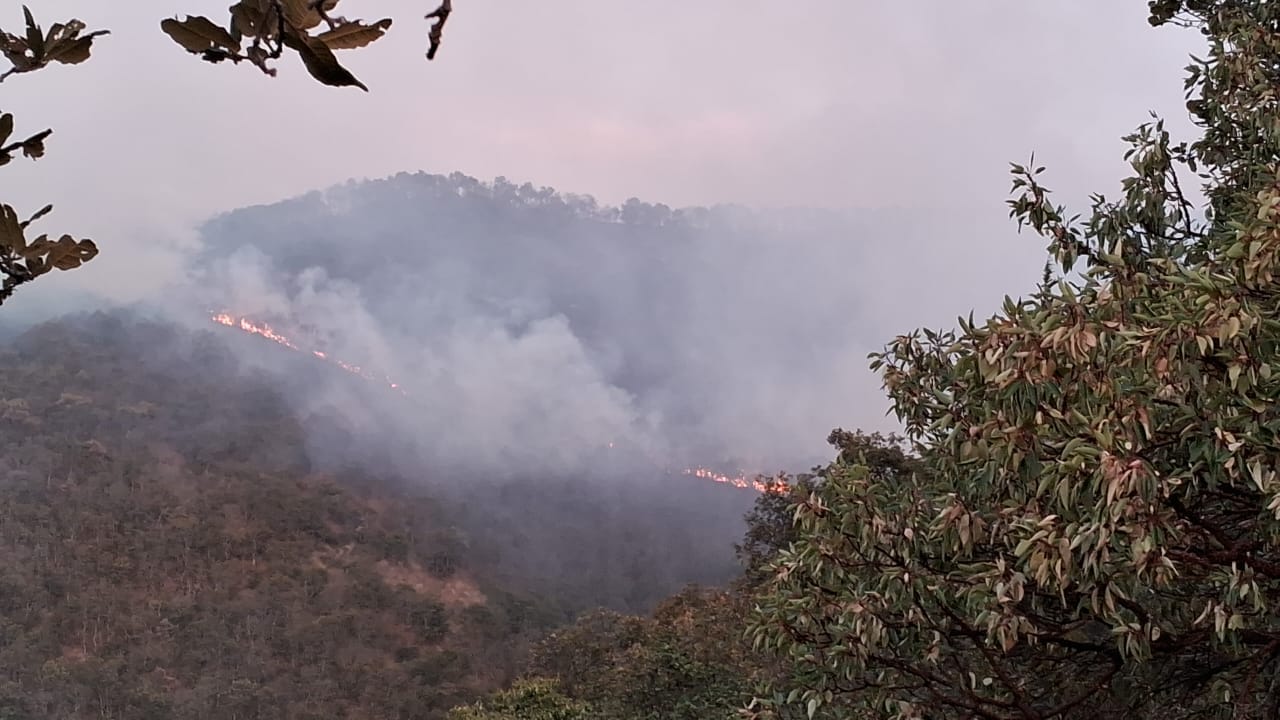 Son 18 incendios forestales activos en el Estado de México. Foto: FR Informante