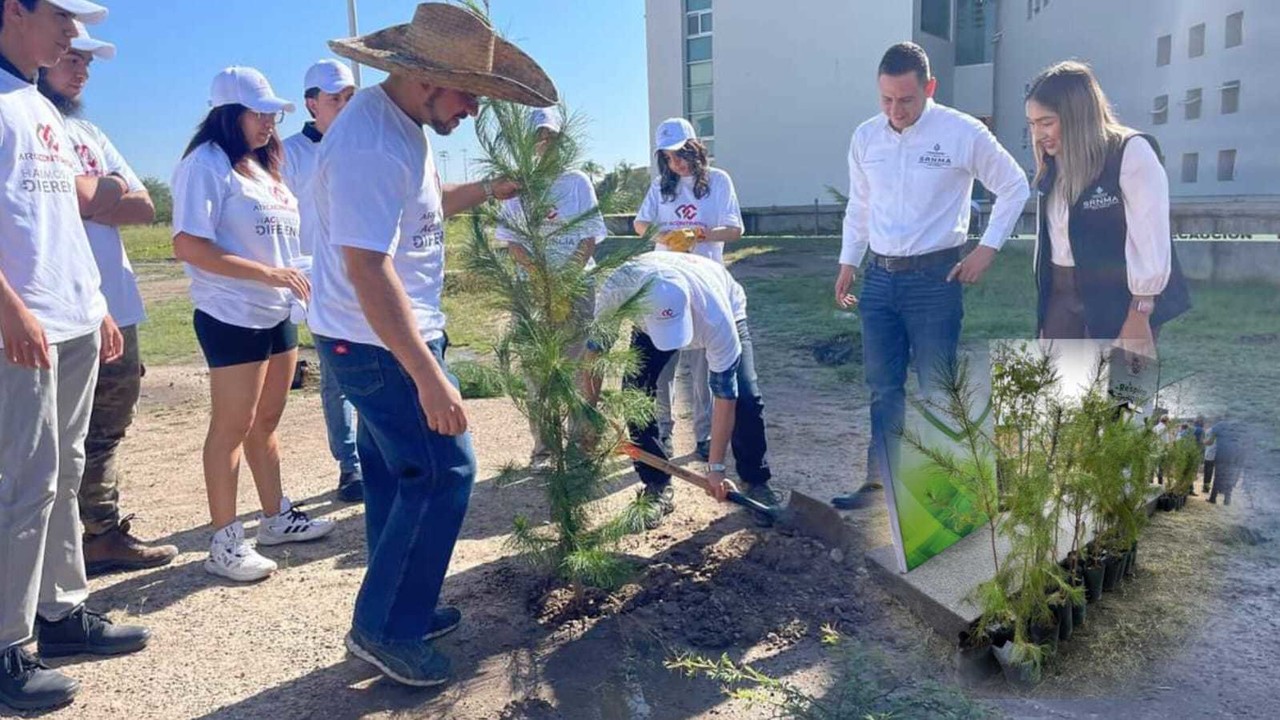 Miles de arboles son donados para la reforestación de escuelas en cualquier municipio de Durango. Foto: Cortesía.