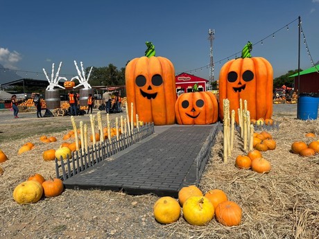 The Pumpkin Dash llega a Monterrey por Halloween y esto es lo que debes saber