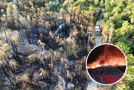 Incendios de Todos Santos sofocados; Milena reveló que pudieron ser provocados