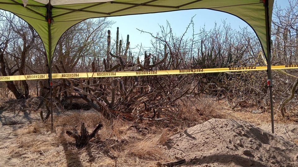 Realizan búsqueda de personas desaperecidas en brechas cercanas a San Juan de la Costa. Foto: Colectivo Búsqueda x La Paz