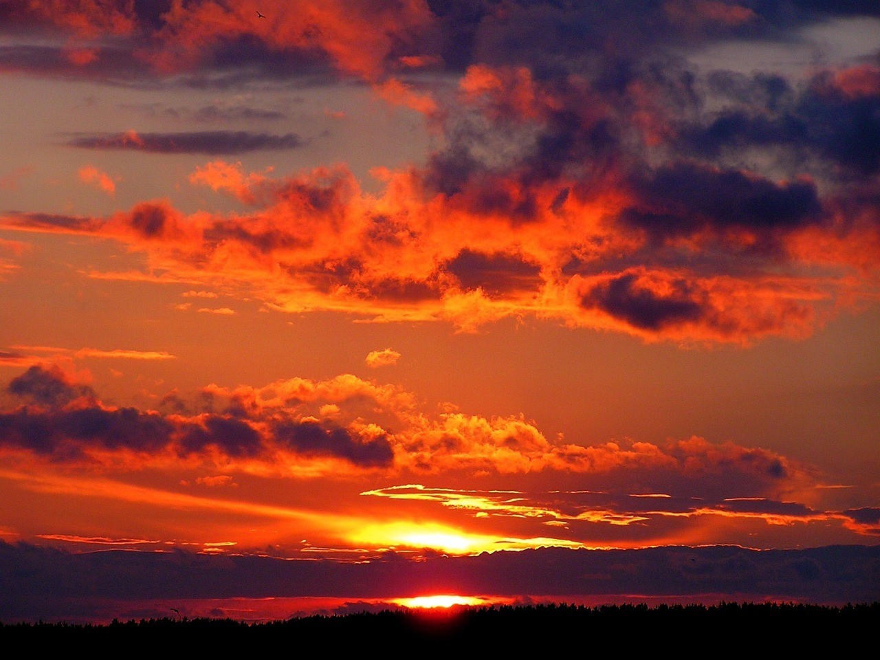 Conoce cuándo bajará el clima en BCS. Foto: dakzxz / Pixabay