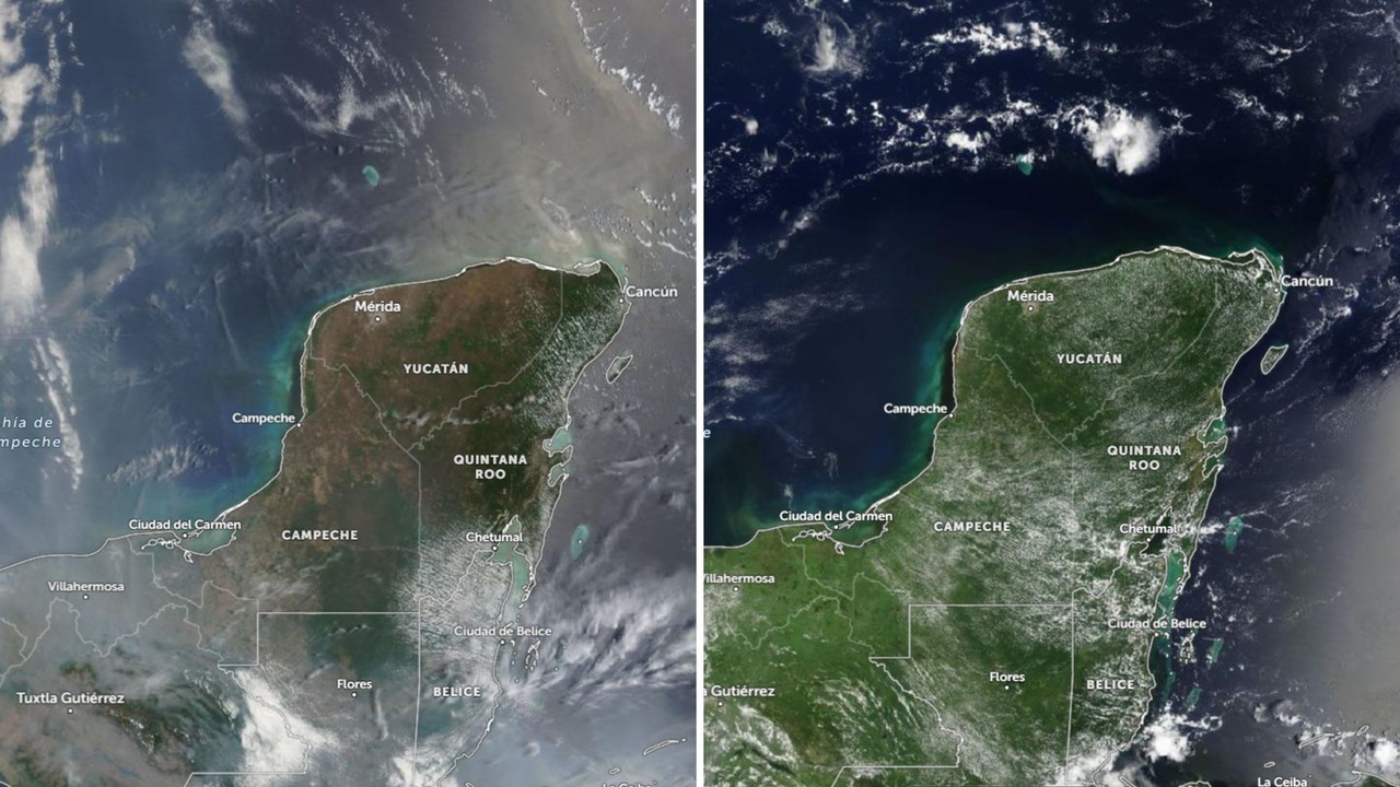 La península luce actualmente sus vibrantes tonos verdes Fotos: Zoom Earth