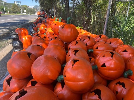 Halloween: estas son las mejores calabazas de barro para decorar en Nuevo León