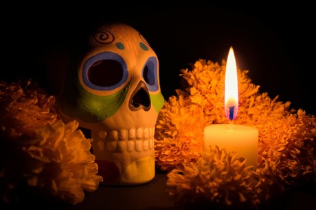 ¿Flores para muertos? Conoce las flores para día de muertos y su significado