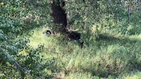 Río San Marcos: Delincuentes se esconden para asaltar