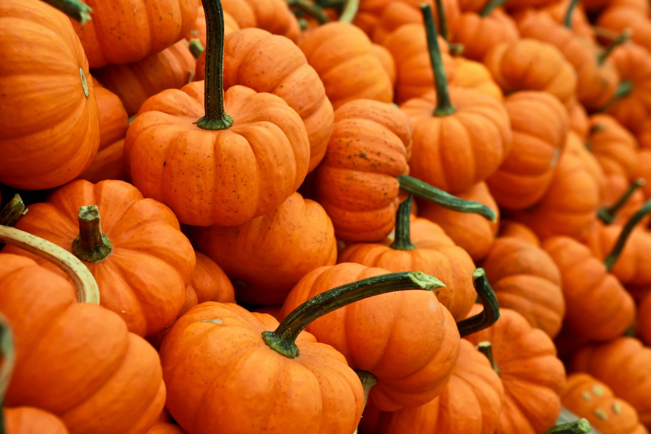 ¿Es bueno comer las semillas de la calabaza?. Foto: Unsplash