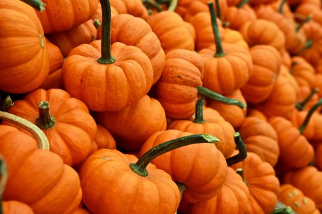 4 beneficios de la calabaza que seguramente no conocías, según la ciencia