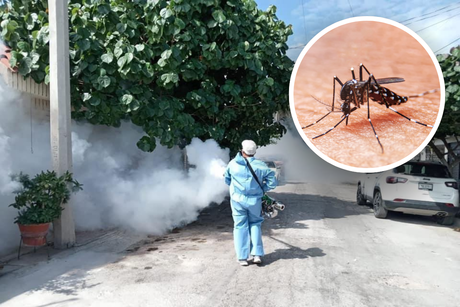 Campaña de fumigación en Acuña: Acciones para combatir el dengue 