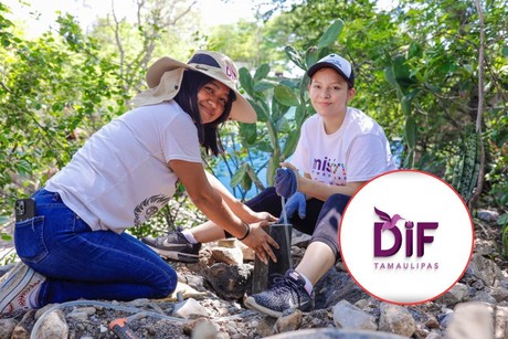 Premio al Voluntario del Año en Tamaulipas: ¿cómo puedes participar?