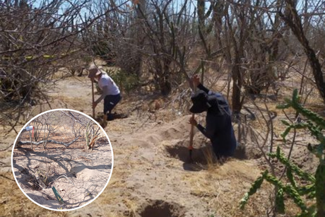 Hallan 5 osamentas humanas en 4 fosas clandestinas en La Paz