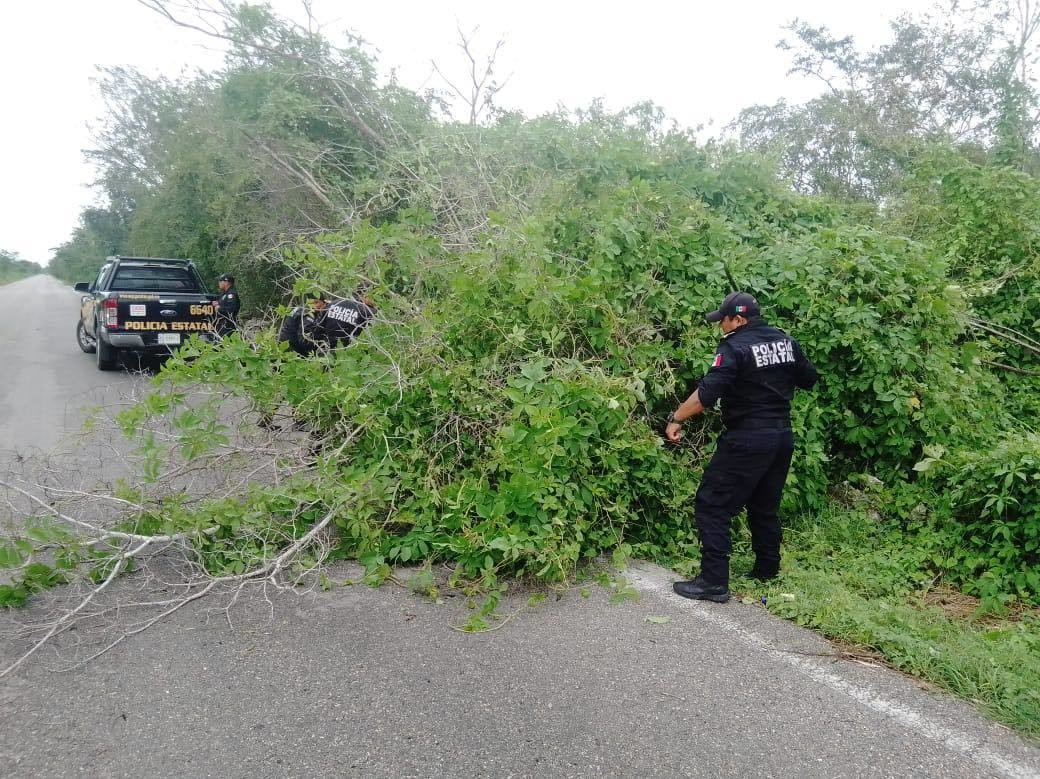 La SSP invita a la ciudadanía a reportar cualquier incidente al 9-1-1. Foto: SSP