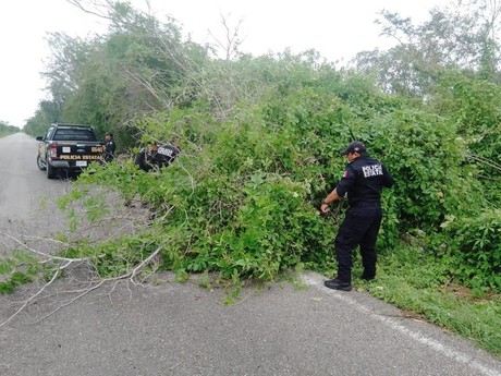 La SSP asegura la seguridad vial tras el paso del huracán