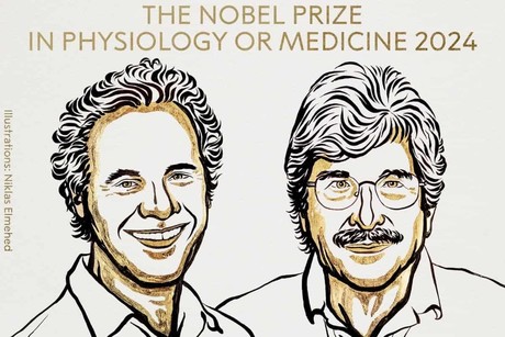 Premio Nobel de Medicina: Victor Ambros y Gary Ruvkun por desvelar el microARN