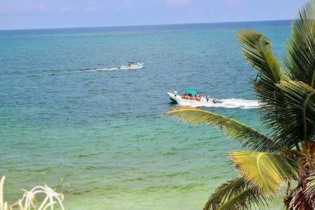 4 playas increíbles para visitar a lo largo de la ruta del Tren Maya