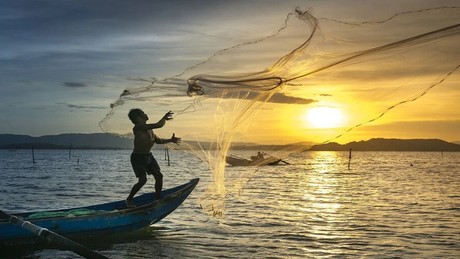 ¿Cual es el sueldo al mes de un pescador en Yucatán?