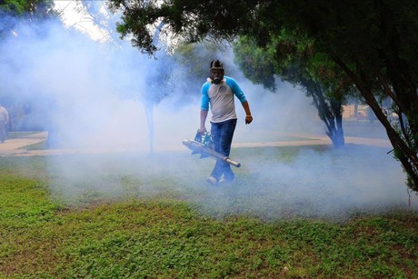 Héctor García intensifica acciones contra el dengue en Guadalupe