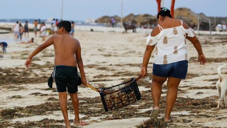 Huracán ‘Milton’ deja 'regalos' a pobladores en las playas de Sisal