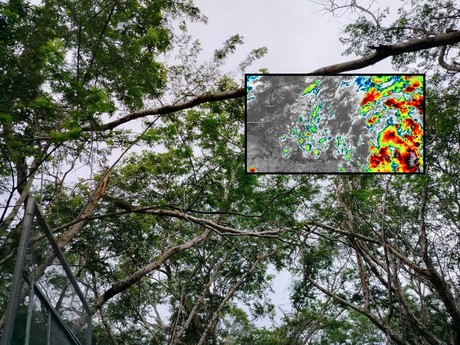 Clima en Yucatán: seguirán las lluvias durante este viernes 18 de octubre