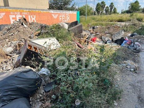 Convierten callejón en basurero en la colonia San Francisco