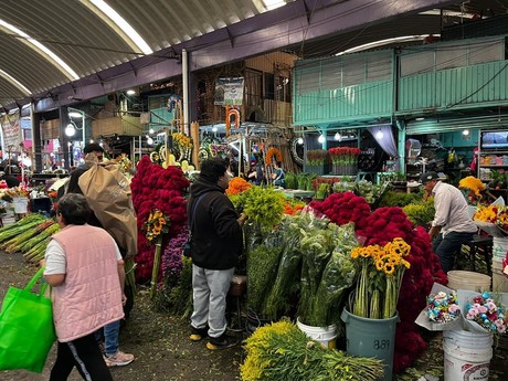 ¿Dónde comprar flores de cempasúchil en CDMX?