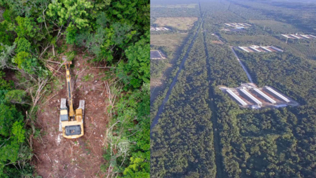 Pueblo maya pide declarar emergencia socioambiental en la Península de Yucatán