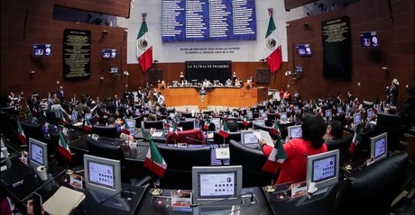 ¿Qué es la 'Ley Silla'? Continúa el proceso legislativo para aprobarse en México