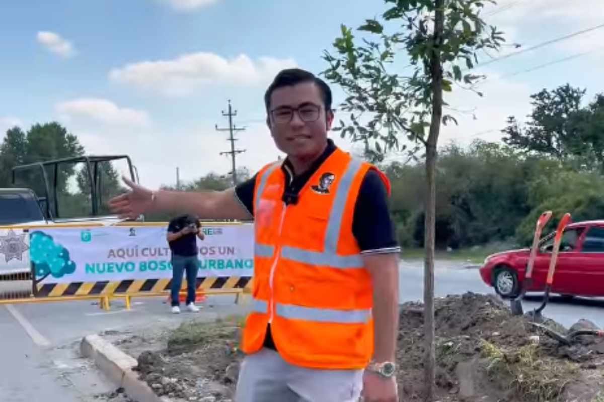 La siembra de árboles en la Av. Reynosa promete múltiples beneficios para los habitantes de Juárez. Foto. Especial.